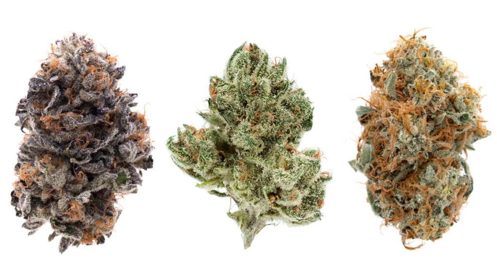 Best Weed Strains to Help Reduce Inflammation