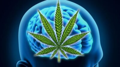 Medical Marijuana For Mental Health